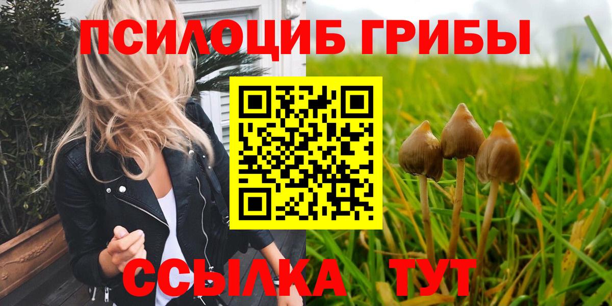 Холмск  купить наркотики сайты  Вход с VPN  Псилоцибиновые грибы мухоморы  Галлюциногенные грибы Magic Shrooms 
